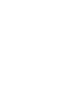 Escudo de LIDER ELITE 360°